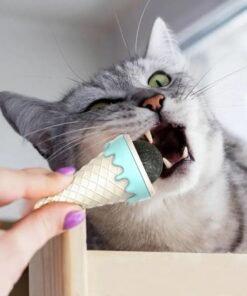 TTT DONDURMA ŞEKLİNDE KEDİ NANESİ KEDİ OTU