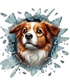 TTT Fulcar Australian Shepherd Araç Stickerı