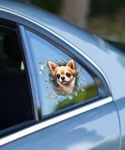 TTT Fulcar Chiuahua Araç Stickerı