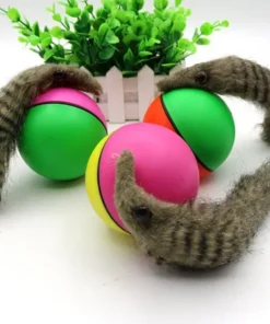 TTT Hareketli Rakun Kedi Köpek Oyuncak