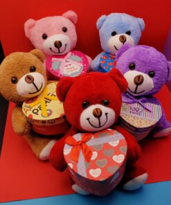 TTT Hediyelik Kutulu Ayıcık