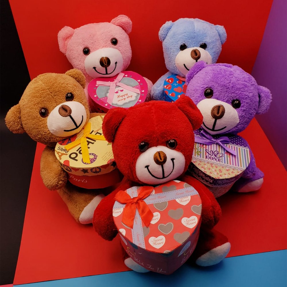 TTT Hediyelik Kutulu Ayıcık