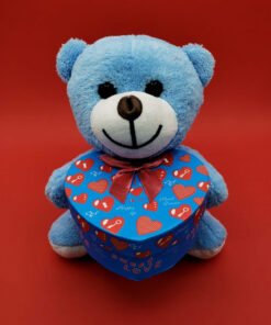 TTT Hediyelik Mavi Kutulu Ayıcık