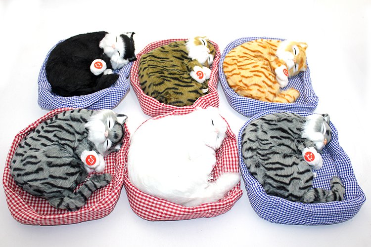 TTT Horlayan Yastıkta Uyuyan Kedi Sesli