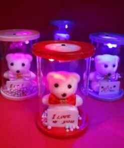 TTT Işıklı Cam Fanus İçinde Ayıcık