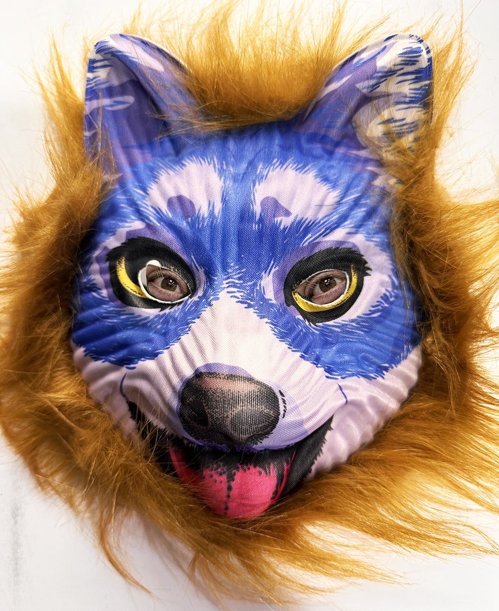 TTT Kahverengi Saçlı Mavi Yüz Sevimli Köpek Maskesi 30 No