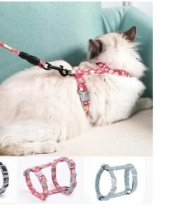 TTT Kedi Gezdirme Göğüs Tasması