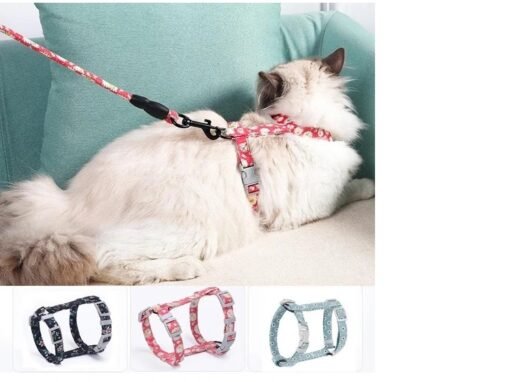 TTT Kedi Gezdirme Göğüs Tasması