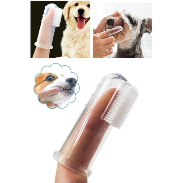 TTT Kedi Köpek Diş Temizleme Fırçası