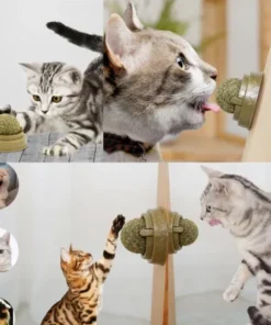 TTT Kedi Nanesi Oyun Topu