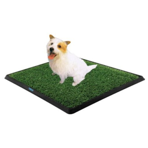 TTT Köpek Tuvalet Eğitim Seti
