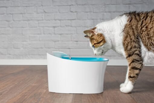 TTT Otomatik Uyarılı Kedi Köpek Su Kabı