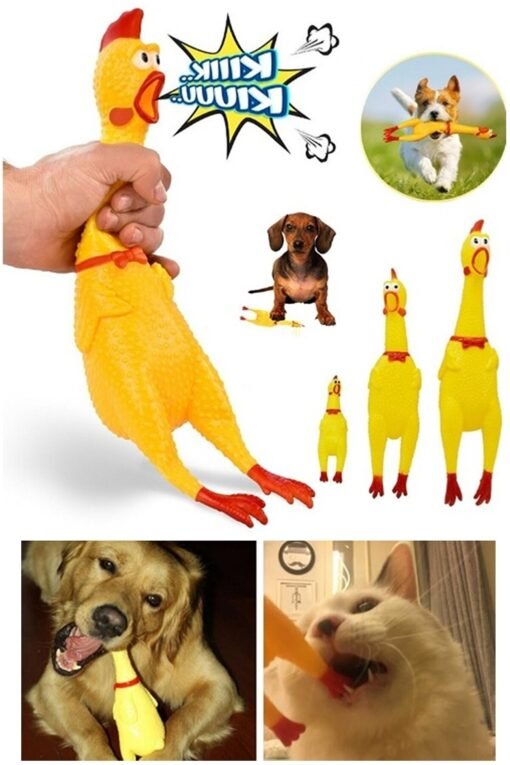 TTT Ses Çıkaran Tavuk Kedi Köpek Oyuncağı 30 cm.