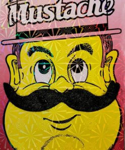 TTT Siyah Gerçekçi Yapışkanlı Tüylü Kabadayı Bıyığı Model 1